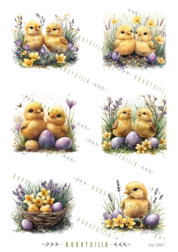 Motivark Dyr 2007 M Kyllinger