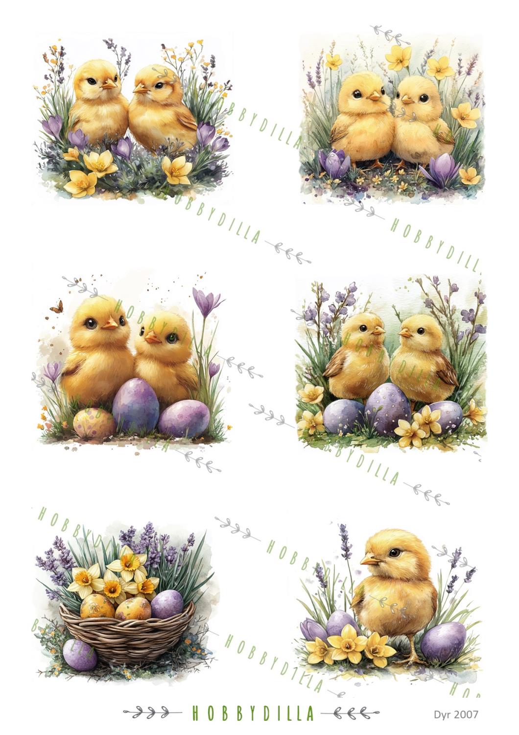 Motivark Dyr 2007 M Kyllinger - Bilde 1