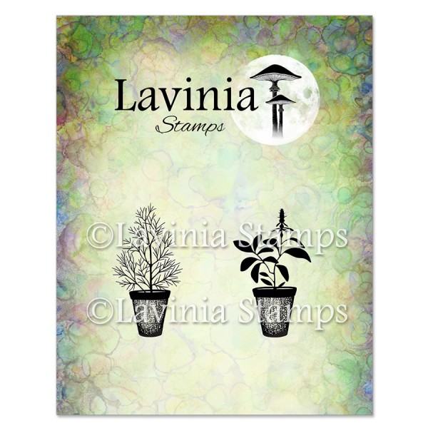 Lavinia Dill & Sage Pots Stamp LAV939