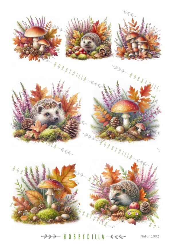 Rispapir A4   Natur 1002 Høst med Pinnsvin