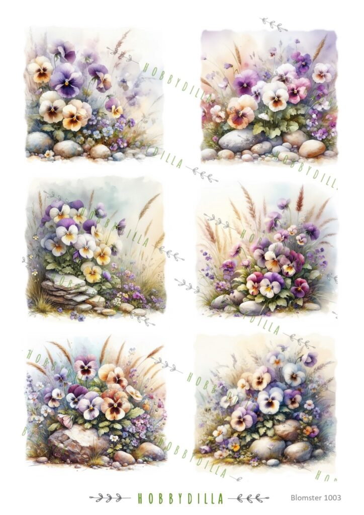 Rispapir A4  Blomster 1003 Stemorsblomster