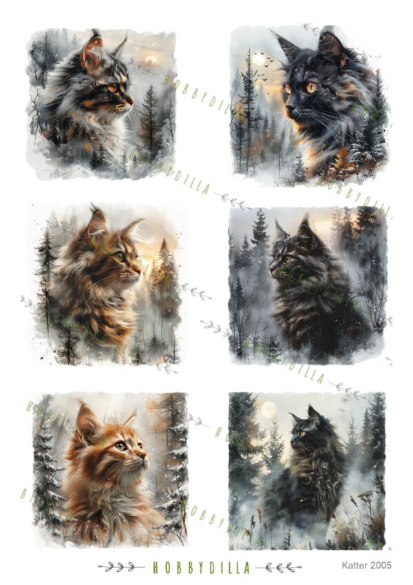 Rispapir A4 Dyr 2009 Katter 5