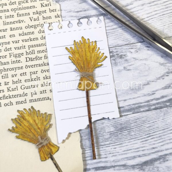 16446.jpg Gummiapan Dies Julenek