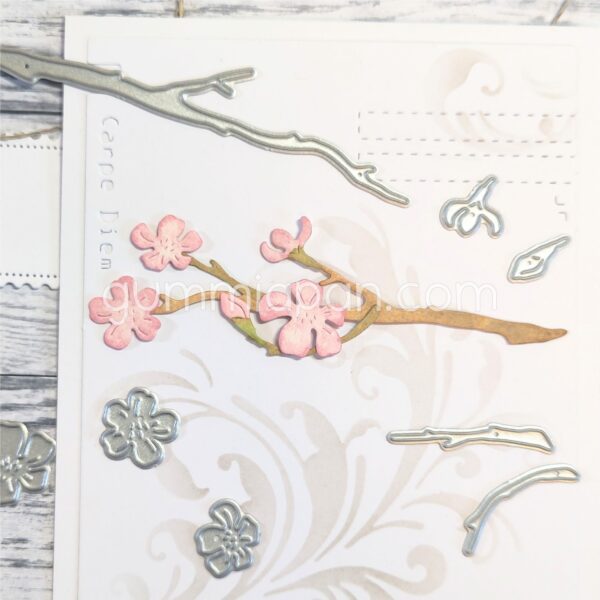 16572.jpg Gummiapan Dies Sakura