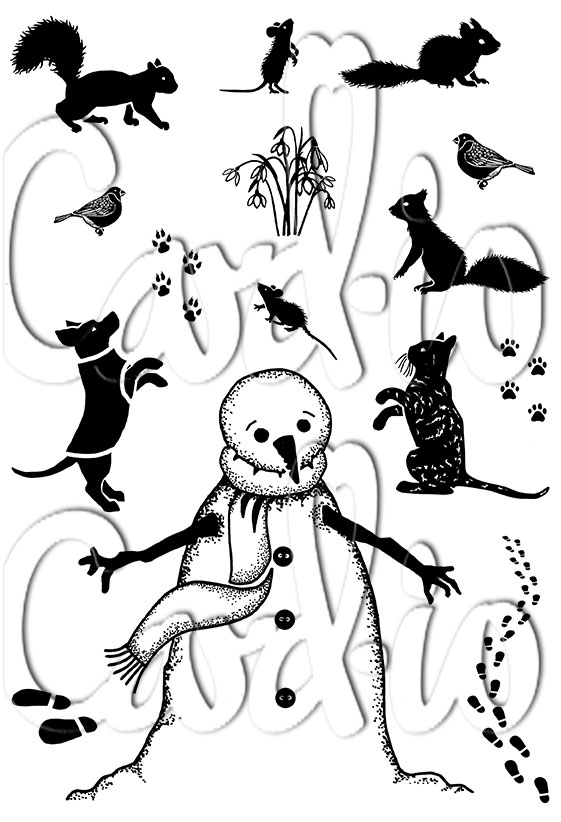 Card-io Favoured Friends  A7