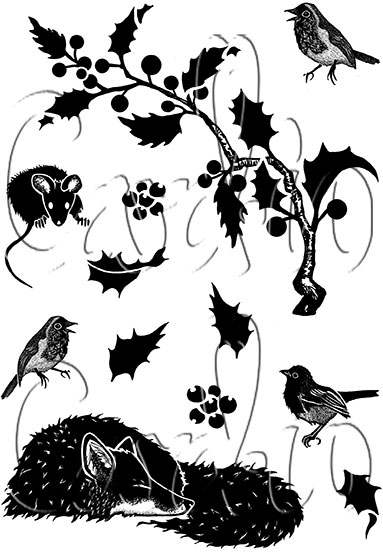 Card-io Holly Hide-Away A7