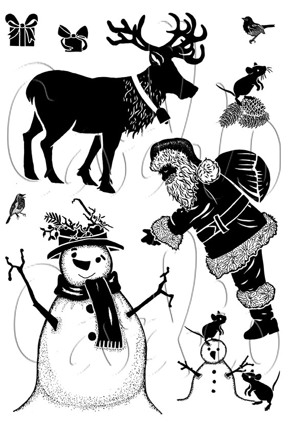 Card-io Surprise Visit  A6