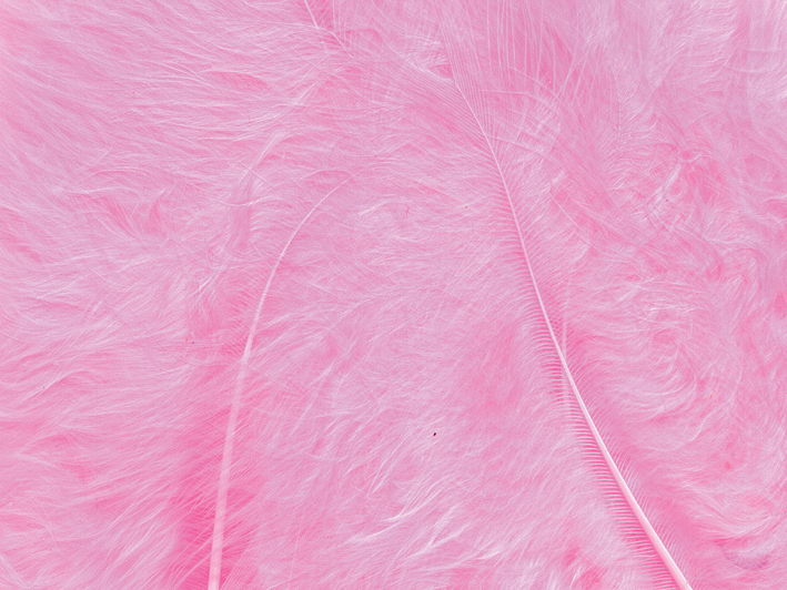 Fjær Rosa - 15 stk - Bilde 1