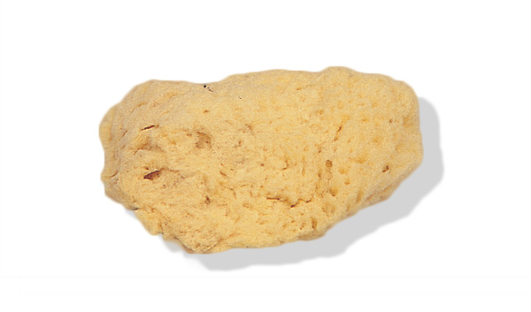 Natursvamp Middels 5-6 cm