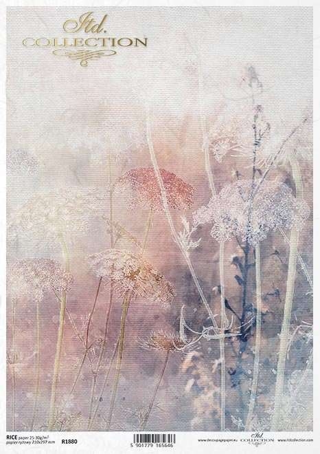 ITD Collection Rispapir A4 - 56