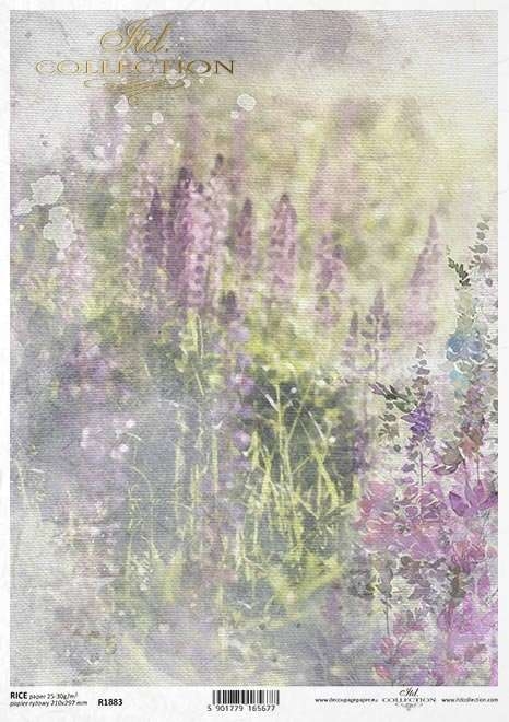 ITD Collection Rispapir A4 - 58