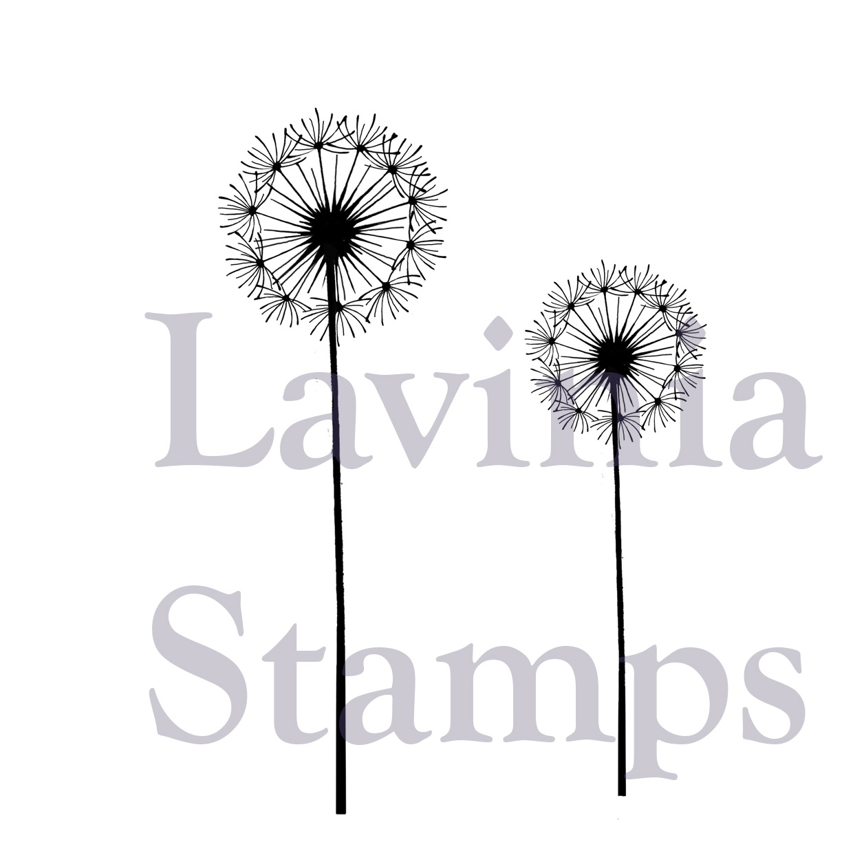 Lavinia Fairy Dandelions LAV373 - Bilde 1