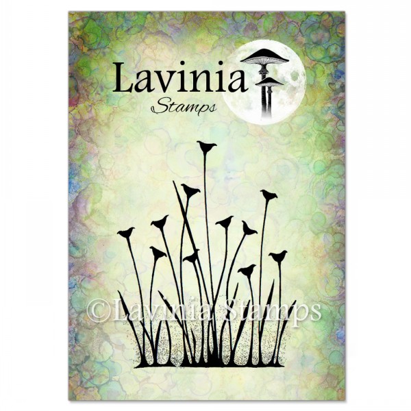 Lavinia Fairy Buttercups LAV375