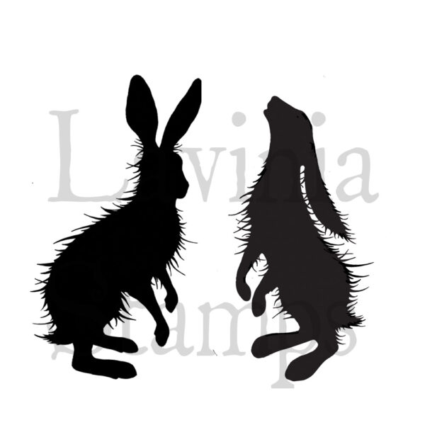 4855.jpg Lavinia Woodland Hares LAV409