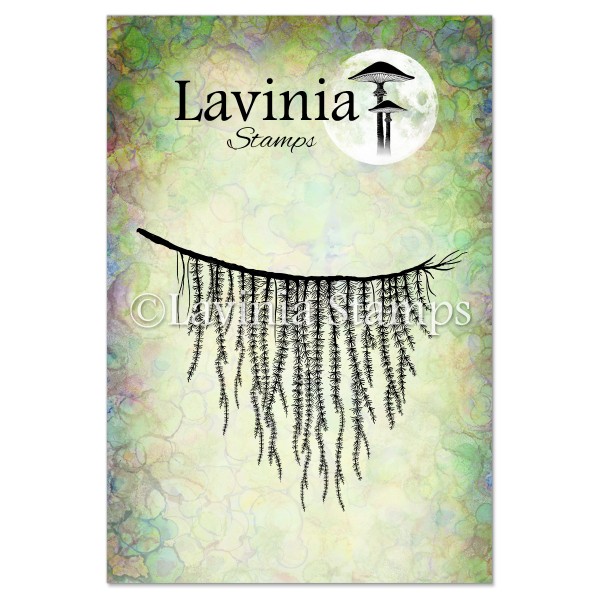 4859.jpg Lavinia Forest Spruce LAV428