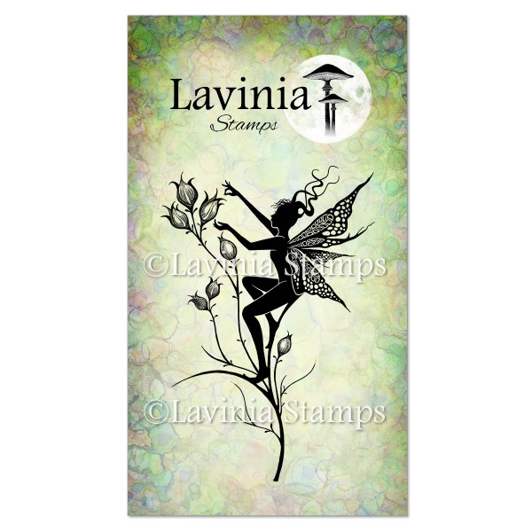4867.jpg Lavinia Aurora LAV463
