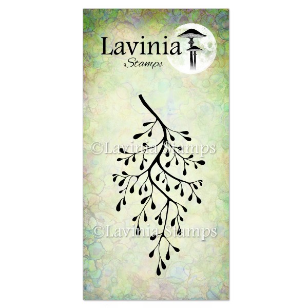 4875.jpg Lavinia Snow Shrub LAV501