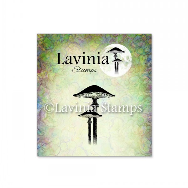 4885.jpg Lavinia Meadow Mushroom (Miniature) LAV561
