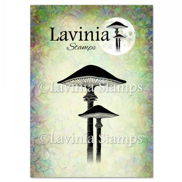 4886.jpg Lavinia Meadow Mushroom LAV563