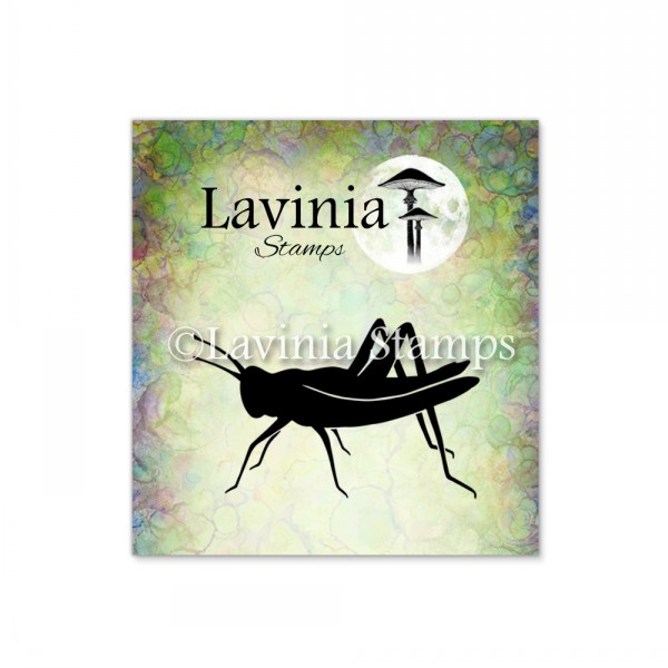 Lavinia Jiminy LAV661