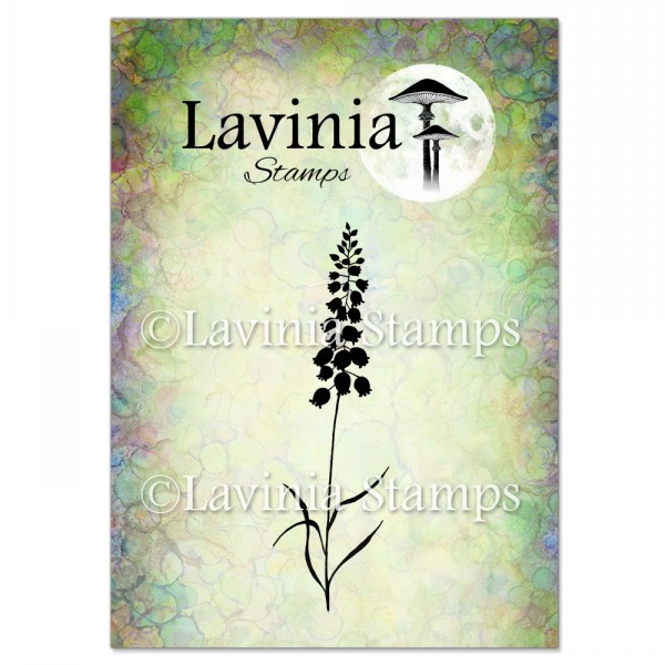 Lavinia Bluebells LAV002