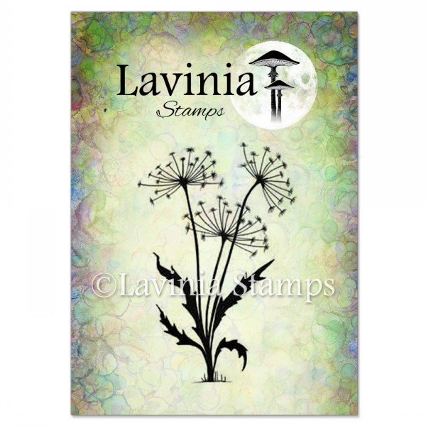 Lavinia Dandelions 2 LAV220