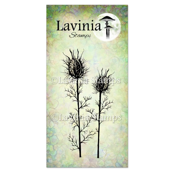 Lavinia  Nigela Damascena LAV119