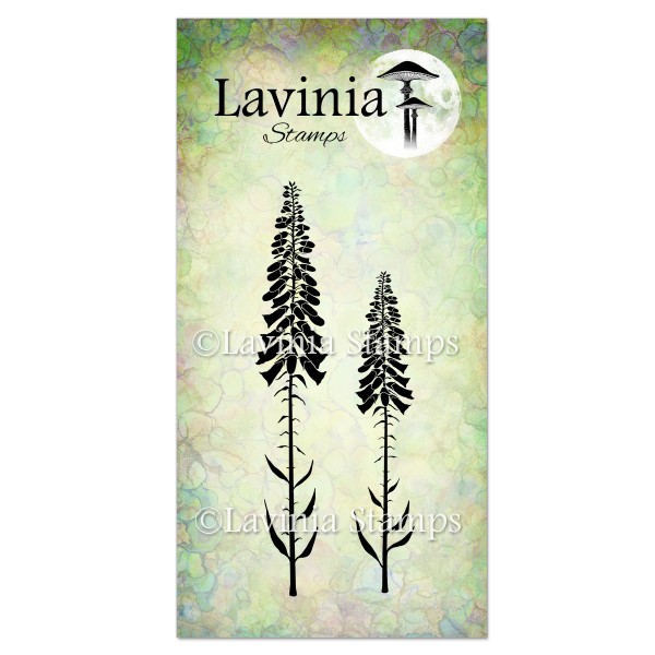 Lavinia Foxglove LAV475
