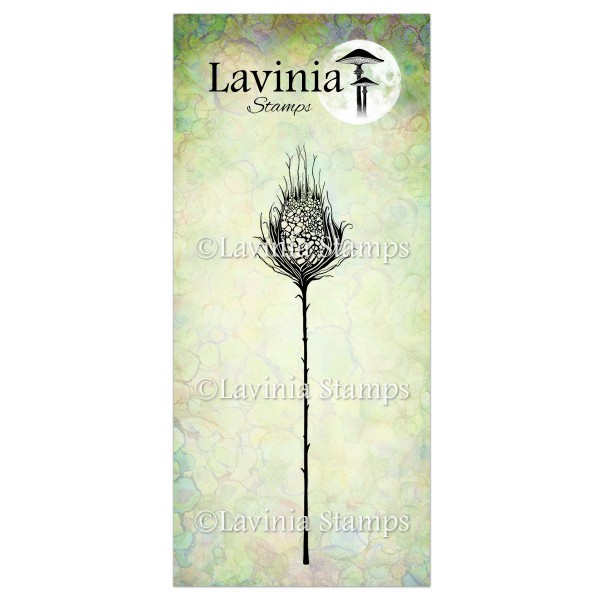 Lavinia Star Burst LAV544