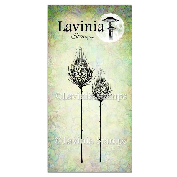 Lavinia Star Burst Set LAV545