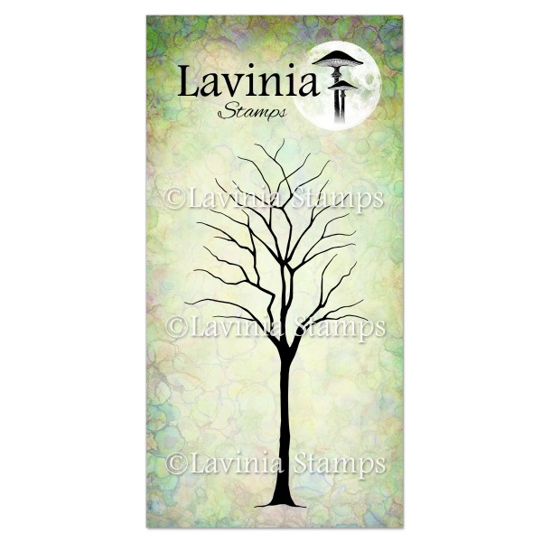 5052.jpg Lavinia Birch LAV649