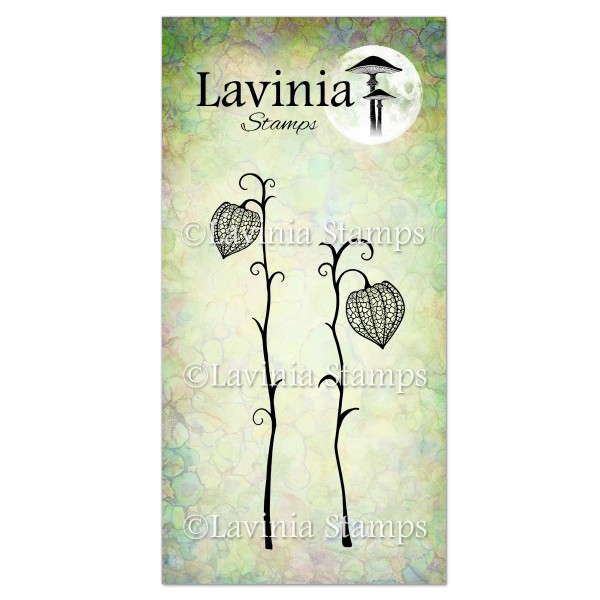 Lavinia Fairy Lanterns Set LAV586