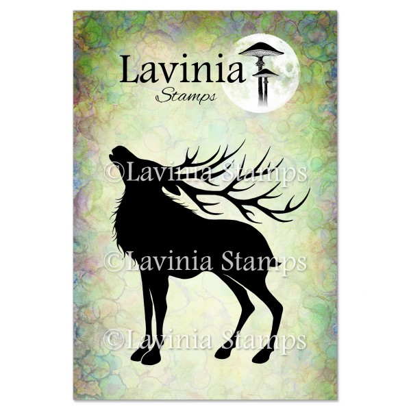 5079.jpg Lavinia Magnus LAV638