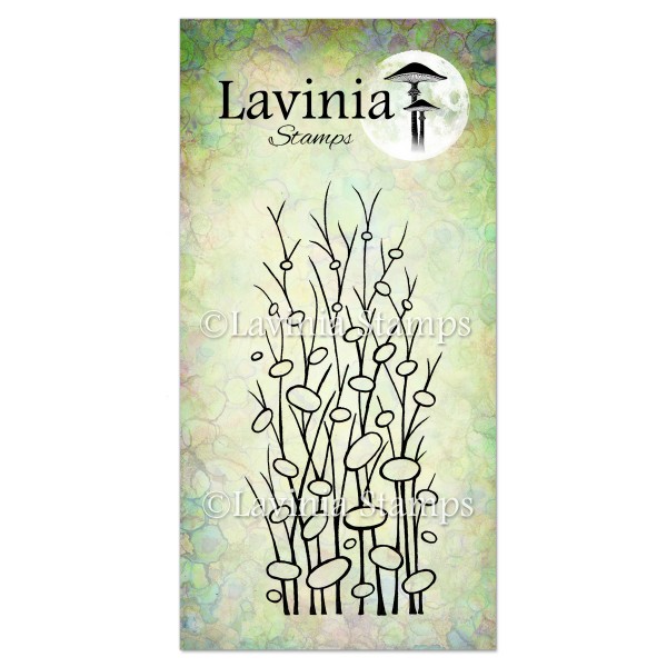 5087.jpg Lavinia Zen grass LAV333