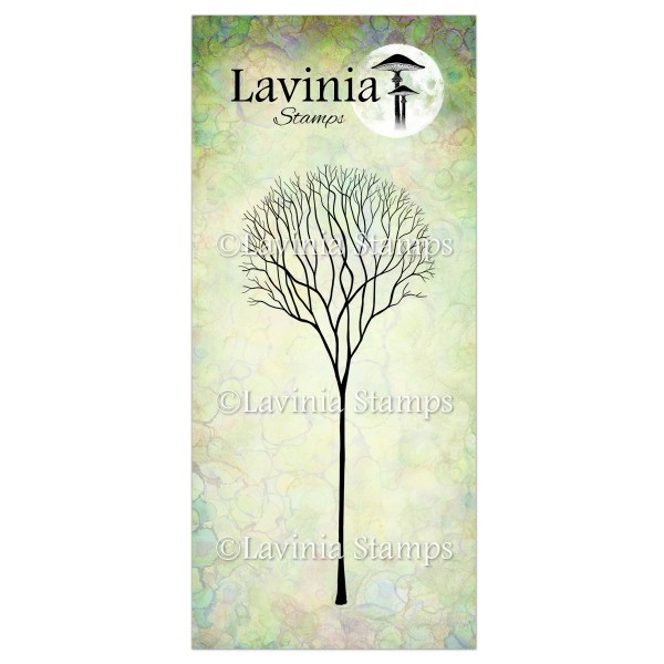5088.jpg Lavinia Skeleton Tree LAV532