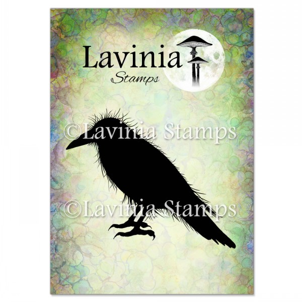 Lavinia Chanse LAV539