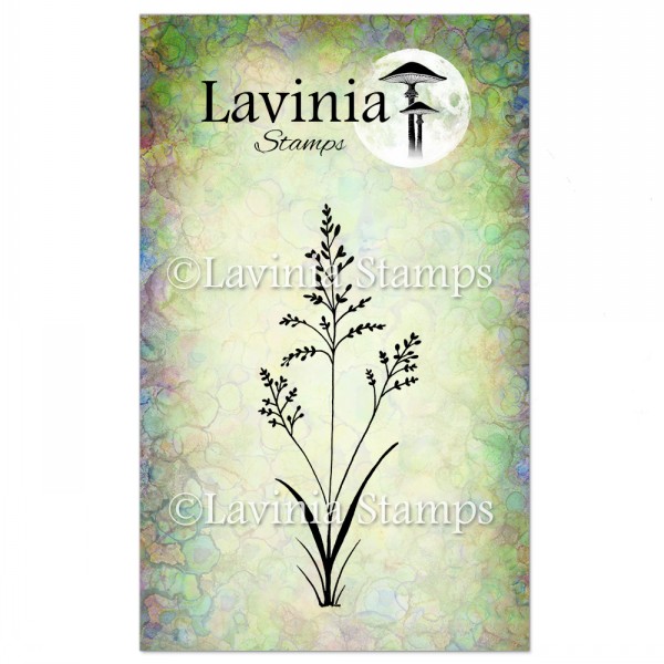 Lavinia Field grass LAV197