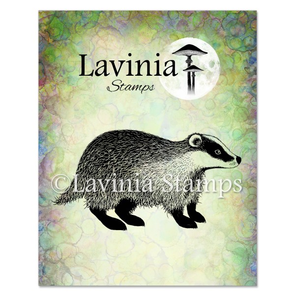 Lavinia  Badger LAV443
