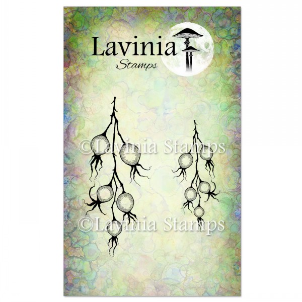 Lavinia Winter Berries LAV571