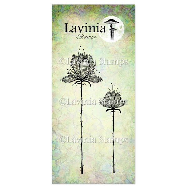 Lavinia Lilium Set LAV654