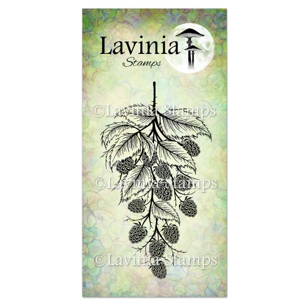 Lavinia Blackberry LAV659