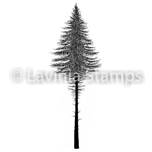 Lavinia Fairy Fir Tree 2 LAV477