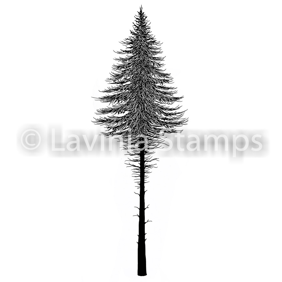 Lavinia Fairy Fir Tree 2 LAV477 - Bilde 1