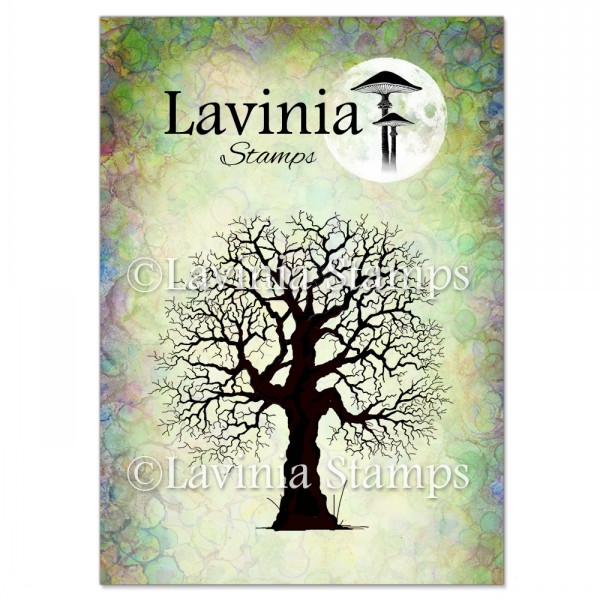 Lavinia Oak Tree LAV186