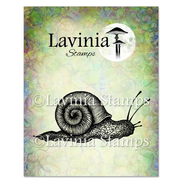 Lavinia Samuel LAV605