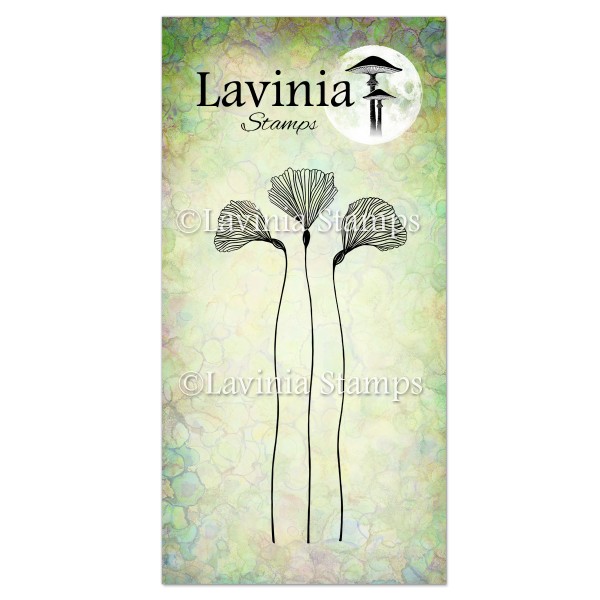 Lavinia Fairy Orchid Set LAV547