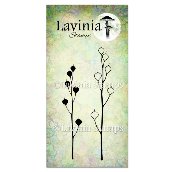 Lavinia Seed Heads LAV466