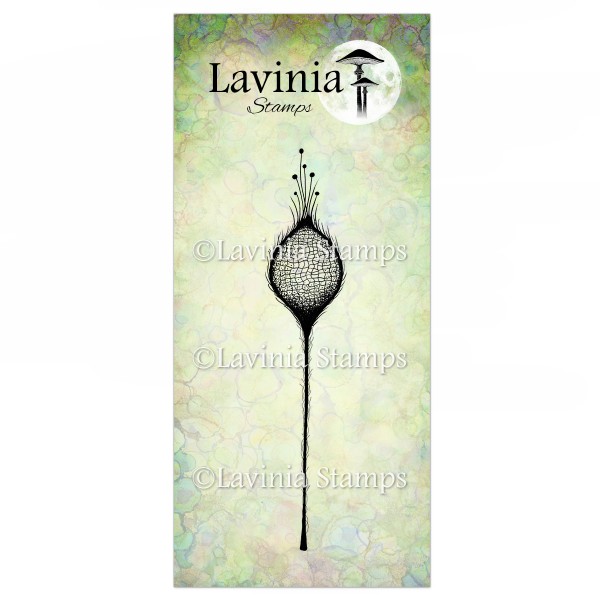 Lavinia Single Fairy Thistle LAV381