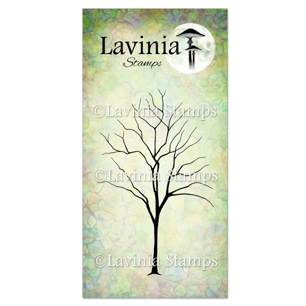 Lavinia Elm LAV652
