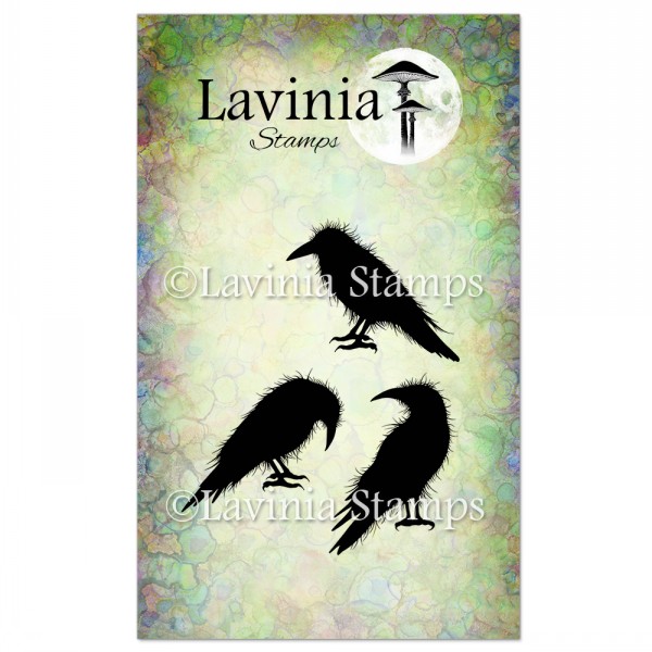 Lavinia Crow Set LAV540